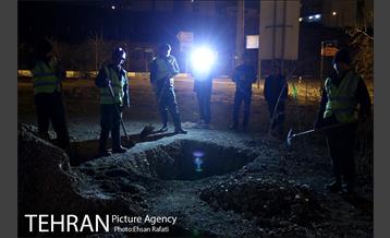 ​جا به جایی درختان گیشا به دلیل ساخت زیرگذر 27