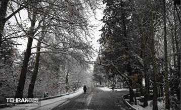 روز برفی تهران - 2 49