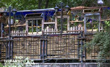 یک روز تعطیل در درکه 17