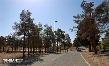 بازدید اصحاب رسانه از روند انجام عملیات احیای چیتگر 29