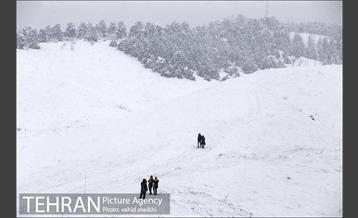 تفریحات برفی در پارک پردیسان تهران 31