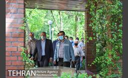 بازدید محسن هاشمی از منطقه 16