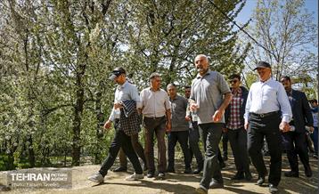 دومین جشنواره شکوفه‌های گیلاس 21