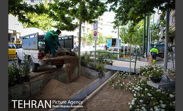 گلکاری در خیابان ولیعصر 9