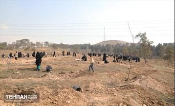 غرس ۲۷۸۲ نهال در سرخه‌حصار به یاد درگذشتگان جامعه پزشکی 4