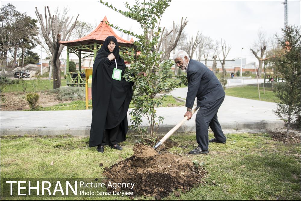 درختکاری و لانه گذاری کبوتر در بوستان بعثت 26