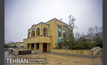 کارگاه تصویر سازی با موضوع درختکاری 1