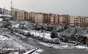 روز برفی در منطقه 22 17