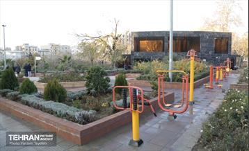 هشتادوششمین رویداد امیدوافتخار 38