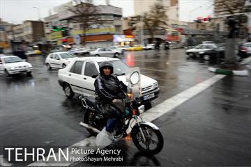 بارش باران بهاری در تهران 2