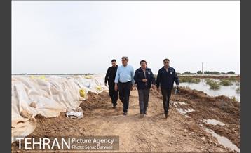 بازدید شهردار تهران از منطقه سیل زده پل سبحانیه دشت آزادگان 7