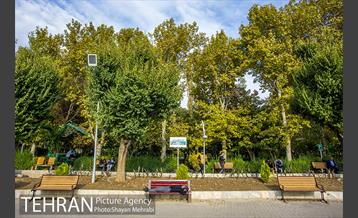 پاییز بوستان لاله 14