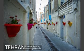 کوچه امیدی رنگ نوروز گرفت 9