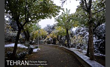 بارش برف پاییزی در بوستان طالقانی 10