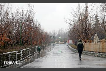 بارش باران زمستانی در تهران 32