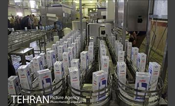 خط تولید شرکت صنایع شیر ایران 19