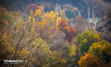 سمفونی رنگ های پاییزی - دربند 32