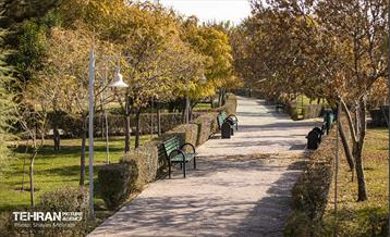 سمفونی رنگ های پاییزی - بوستان رازی 21