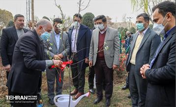 مراسم‌ کاشت نهال در بوستان بهاران منطقه ۱۷