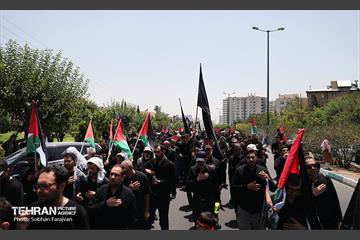 دسته عزاداری دانشگاه امام صادق(ع) در ظهر تاسوعا 11