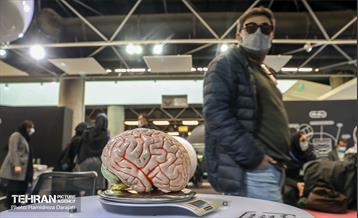 رقابت نهایی 50 شهروند سالمند در لیگ حافظه 7