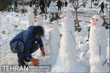 جشنواره مجسمه های برفی 17