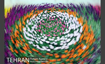 پیاده راه لاله مادران 48