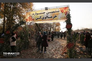 ششمین جشنواره خرمالو 20