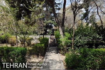 بوستان نیاوران 25