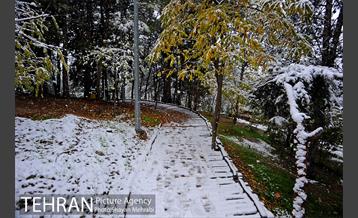 بارش برف پاییزی در بوستان طالقانی 32