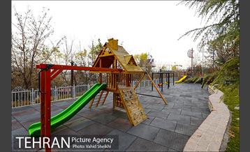 باغ راه فدک 24