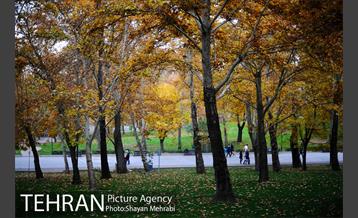 پاییز در بوستان ملت 34