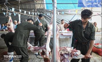 بازدید از مرکز عرضه بهداشتی دام ویژه عید قربان 25