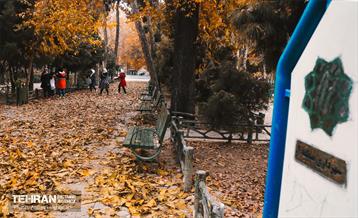 گذرگاه های پاییزی پایتخت - منطقه 9