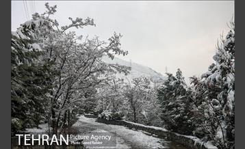 برف زمستانی پارک جمشیدیه 11