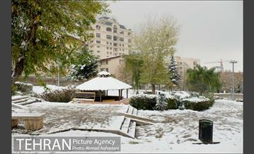 بارش نخستین برف پاییزی تهران 20