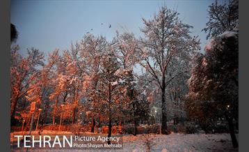 صبح برفی تهران 46