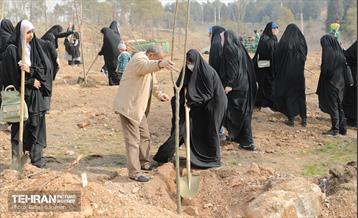 غرس ۲۷۸۲ نهال در سرخه‌حصار به یاد درگذشتگان جامعه پزشکی 7