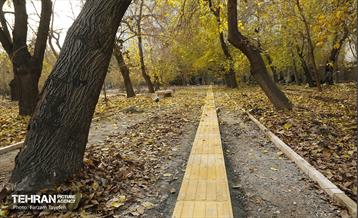 مراحل احداث پروژه ی باغ باهنر 32