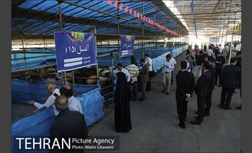 بازدید اصحاب رسانه از مراکز عرضه بهداشتی دام  17