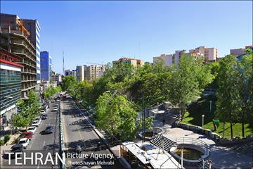 ولیعصر(عج)؛ خیابانی به درازای خاورمیانه 31