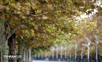 یک روز بارانی در منطقه 19 8