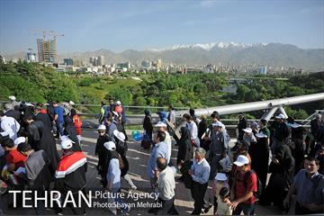 همایش پیاده روی خانوادگی کارکنان شهرداری 19