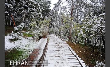 بارش برف پاییزی در بوستان طالقانی 29