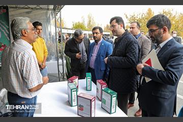 پنجمین جشنواره خرمالوی کن 27