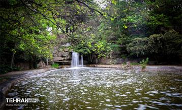 باغ گیاه‌شناسی 40