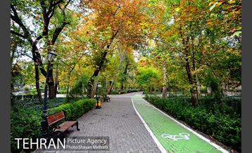 پاییز پارک شهر 9