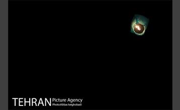 پرواز ۱۷۹ فانوس در آسمان به یاد ۱۷۹ شهید بهمن ماه ۵۷  17