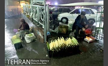 بارش اولین برف پاییزی تهران 18