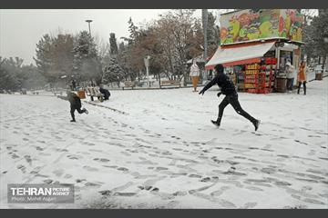 بارش برف زمستانی در منطقه ۲ 25